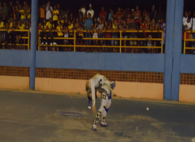 Tomé-Açú.png