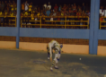 /album/balizas/iagape-a%c3%a7u-png/